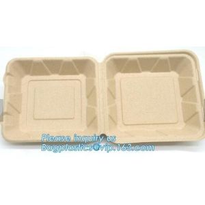 biodegradable disposable corn starch tray compartment catering tray fruit