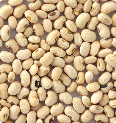 Soybean Automatic Sorting Machine , Multifunction Optical Color Sorter