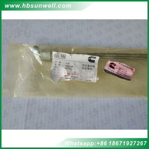 Genuine Cummins M11 ISM QSM11 Diesel Engine Parts Flexible Hose 3899412