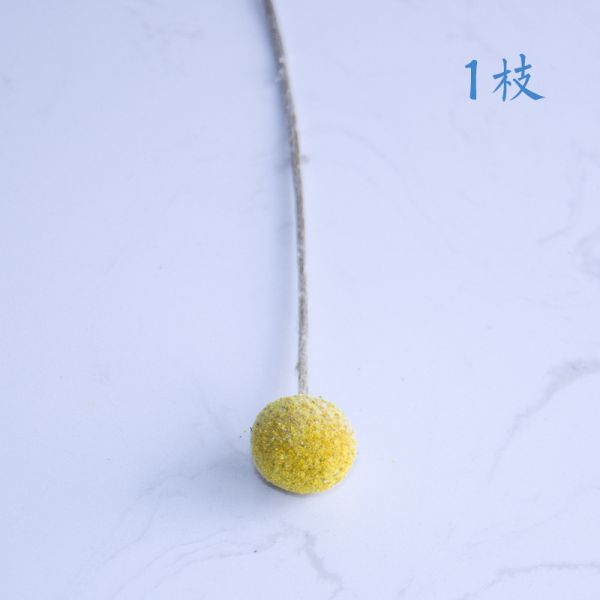 50cm Craspedia Globosa Air Drying Flowers