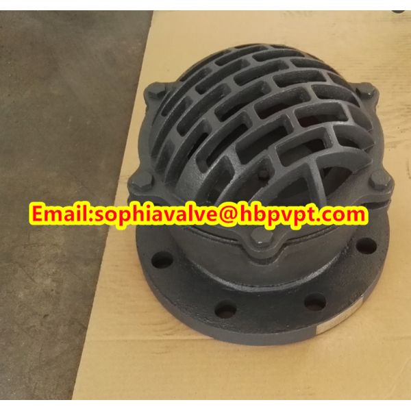 seat EPDM PN10/PN16 flanged foot valve