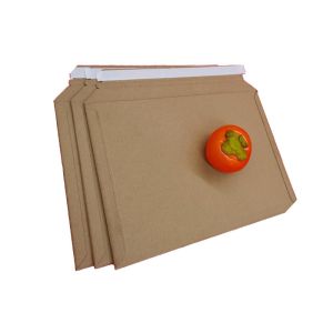 Biodegradable 6x6 Inch Rigid Mailer Envelopes With Easy Tear Lips
