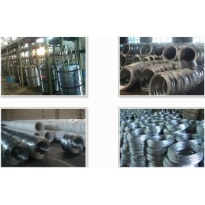 Wholesale Galvanized Wire for Wire Mesh from china suppliers