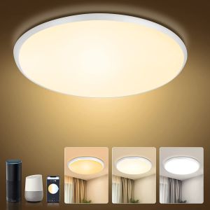 24w Tuya Smart Ceiling Light Colorful Rgb Remote Control Smart Light Led Modern