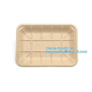 Biodegradable & Compostable 8 inchSquare sugarcane trays,sugarcane pulp