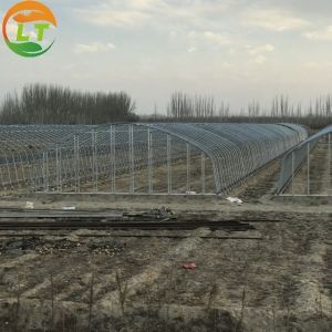 High Output Attractive Single Span Greenhouse With Stable Structure
