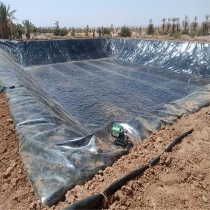 Black HDPE Geomembrane 2.0mm for Waterproofing Dam Liner in Kenya Fish Farm