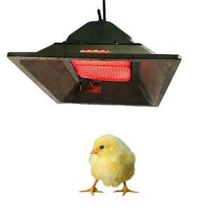 4 Model Chicken Brooder Gas Heater LPG NG Biogas Gas Brooder In Poultry