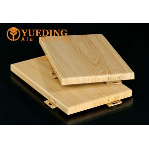 Customized Outer Wall Single Aluminum Veneer with Irregular Curved Shape