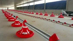 Wholesale Accuracy 2g Chicken Feeding Line PLC Automatic Broiler Feeding System from china suppliers