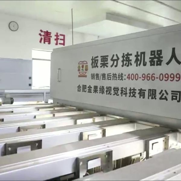 High Accuracy 8 lanes+8 outlets Chestnut Sorting Machine: Precise Sorting, Zero