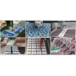 ISO Certified Vertical Installation Epoxy Resin Filling System for and