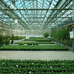 Integrated PV Module Mounting Systems For Greenhouse