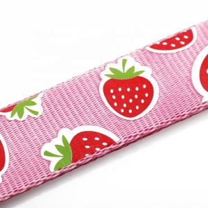 OEM training dog leash Silk Screen Pattern dog training lead