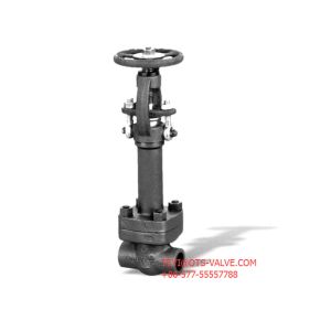 Stainless Steel Extended Body Gate Valve Bolted Bonnet Class 800 SW End