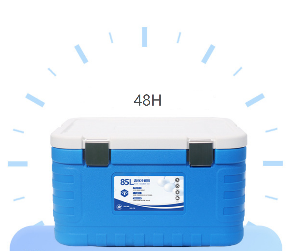 Versatile Insulated Ice Cooler Box with Hinged Lid and Ice Pack for Cold Chain