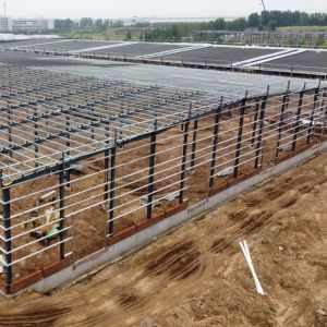 Prefab Steel Structure Warehouse with H-Section Beams and PPGI Cladding