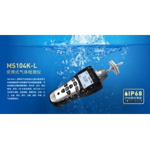 IP68 Protection Portable Gas Detector with Built-in Pump Suction and 8 Key