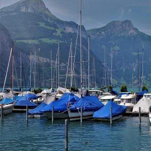 Waterproof and Anti-Uv Protective 200GSM Muti-Color Poly Tarp PE Tarpaulin Plaid