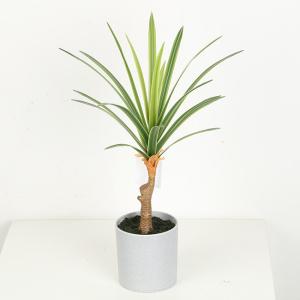 Wholesale High Imitation Flexible Glue Artificial Dracaena Plant Bonsai 25 CM 32 CM from china suppliers