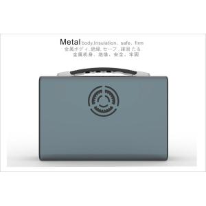 USB Type C Lifepo4 Lithium Portable Power Station DC AC 300W Portable Power