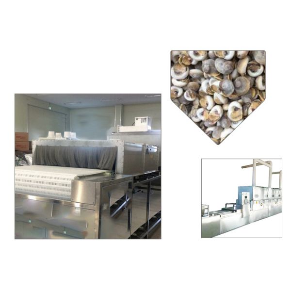 Soybean Belt Food Sterilization Equipment Tunnel Structure Stainless Steel