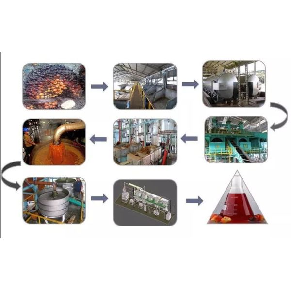 Palm Oil Processing Mill Continuous Sterilizer Crude Cooking Palm Kernel Oil Refinery Mill Process Crushing Production Line Plant Machine