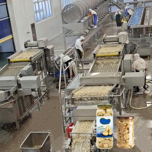 Custom Mushroom Canned Food Production Line Automatic Machines