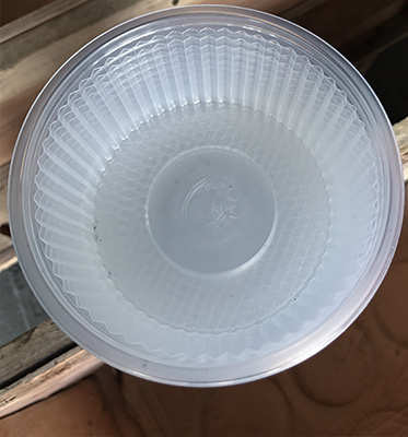 High Efficiency PP Plastic Cup Making Machine/pet food box thermoforming machine