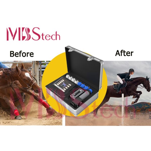 Carry Box ESWT Shockwave Therapy Machine For Horses
