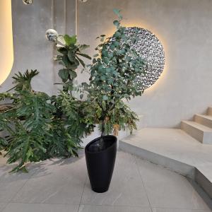 Modern Fiberglass Rectangular Flower Pots With Matte Finish