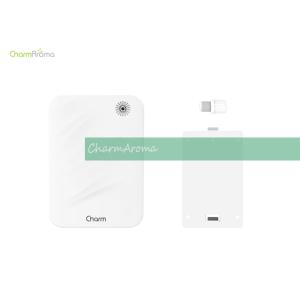 DC12V 5W Aromatherapy Essential Oil Diffuser / Fragrance Diffuser Electric