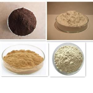 500kg/H Spent Brewers Beer Yeast Dryer Machine Centrifugal Atomizer 380V