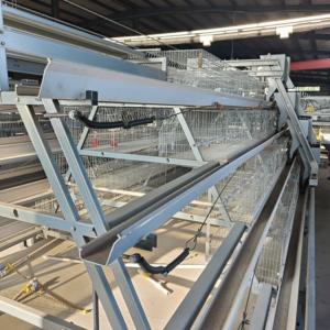 2024 Q235 A-Type Automatic Chicken Coops Layer Battery Cage System For Capacity