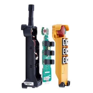 With 7 function buttons(6 double speed and 1 single speed)) + E-stop+ Hoist