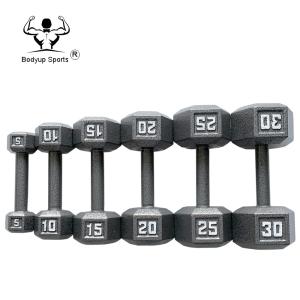 Durable Weights And Dumbbells Cast Iron Hex Gym Fitness Dumbbells Hammertone