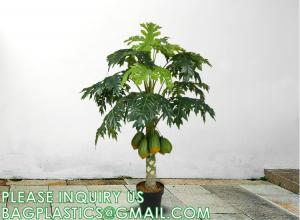 Wholesale Artificial Trees for Home Decor Plants Large Artificial Tree Branch Green Leaves Real Touch Fake Papaya Tree from china suppliers