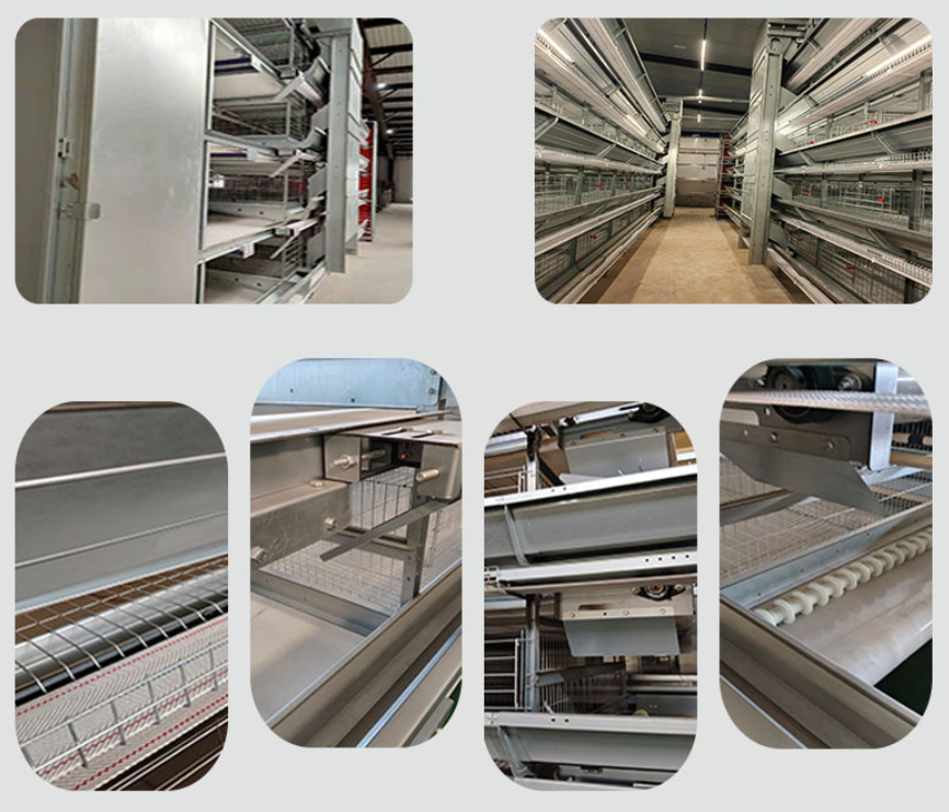 Hot-dip Galvanized Small Tier Layer Cages Easy Manure Removal Customized service