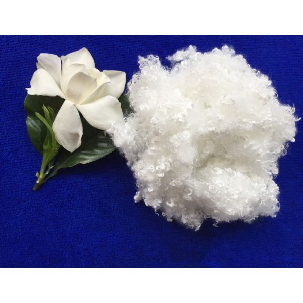 7Dx64MM raw white hollow conjugated siliconized polyester staple fiber in virgin
