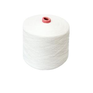 30s 30/2, 30/3 100% Polyester Ring Spun Yarn Polyester Knitting Yarn