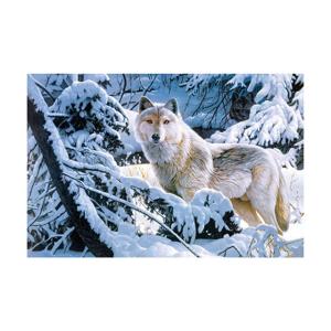 China 50*70cm 3d Lenticular Poster Animal Theme 3D Flip Effect With MDF Frame on sale