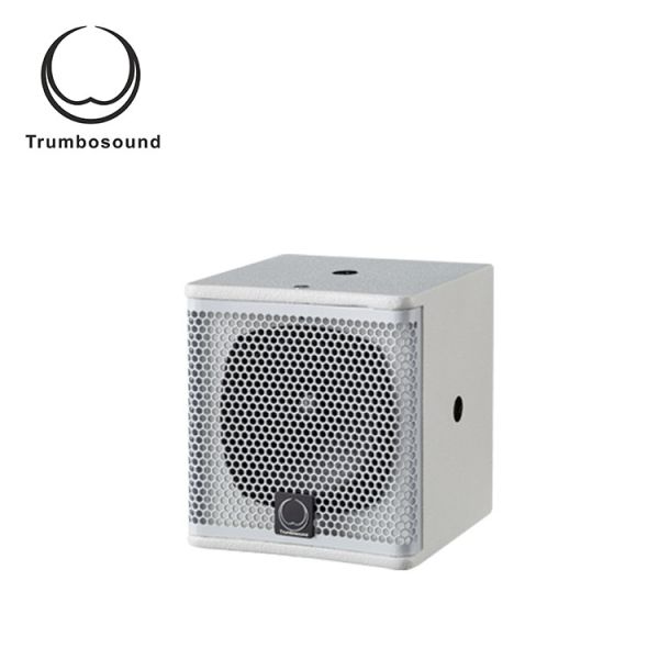 Quality Professional 120dB Full Range Loudspeaker 4.5'' Column Speaker for sale