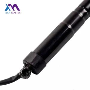 1.56 Black LH/RH Power Tailgate Lift Supports Liftgate Struts Replacement for