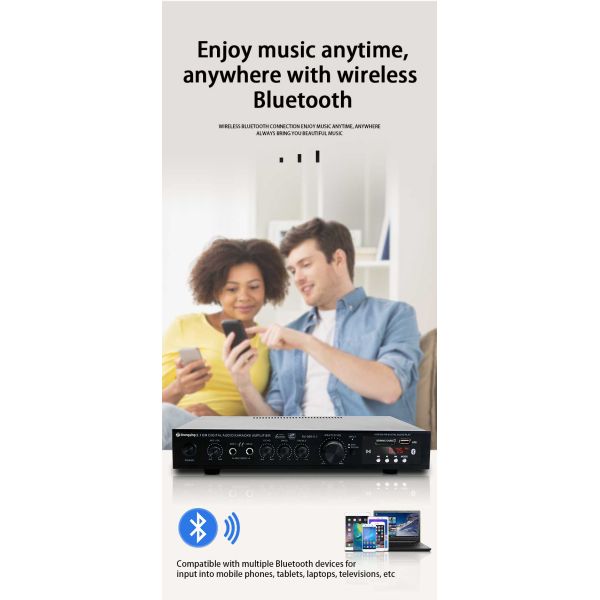 KTV Home Theatre System Professional Amplifier Board with 2 Mic Inputs and LDZS 5.1 Channel Nobsound Stereo Mixer