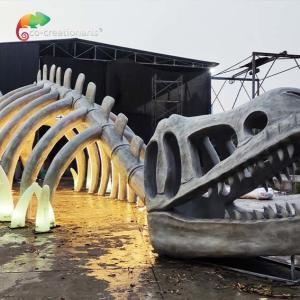 ISO Animatronic Dinosaur Skeleton Passageway