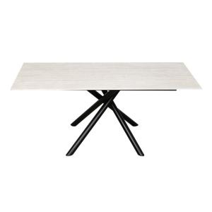 1800*900mm Ceramic Material Dining Table With Fixed Type Black Metal Leg