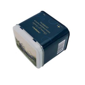 Rustproof Rectangular Printed Tin Boxes With Hinged Lid Antiwear