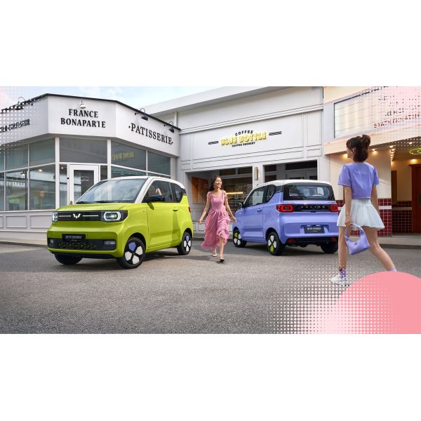 Effortless and Sustainable Micro Model Wuling Hongguang Mini EV with 1940mm Wheelbase