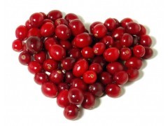 Anti Oxidant Cranberry Extract, Cranberry Extract with Proanthocyanidins for