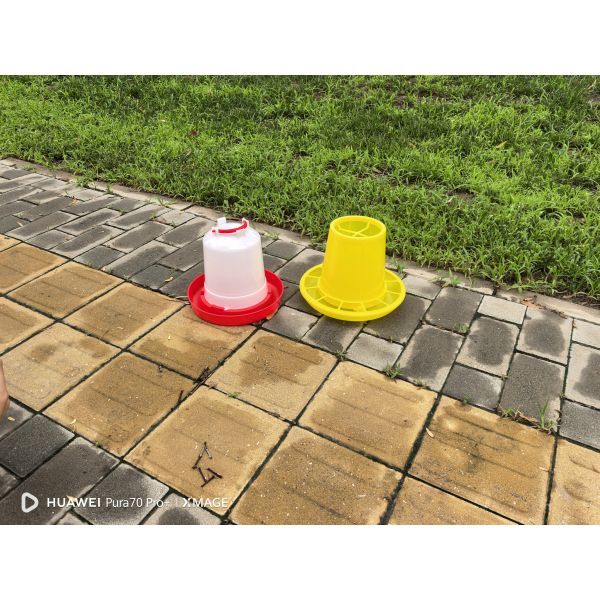 Plastic Poultry Drinker Red For Improved Poultry Performance And Profitability Fresh Drinking Water